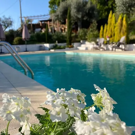 Porturama Bed & Breakfast *