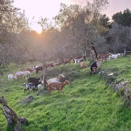 Porturama Bed and Breakfast Mouronho