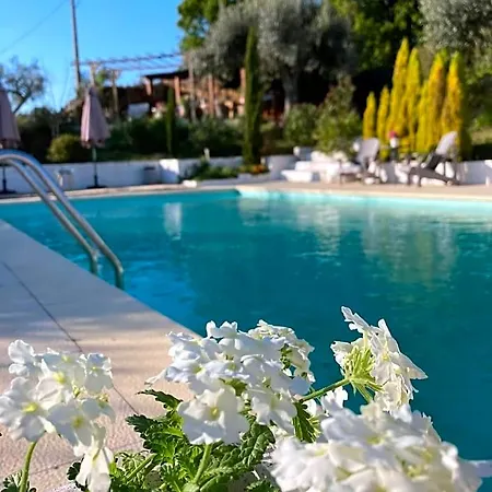Bed and Breakfast Porturama 3*