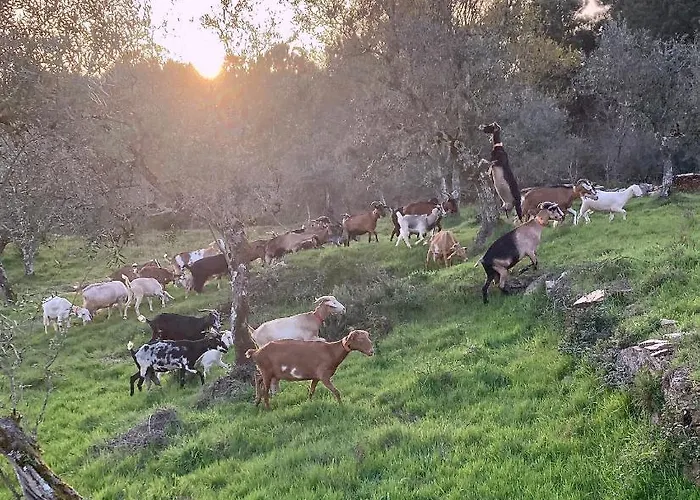 Porturama Couette-café Mouronho